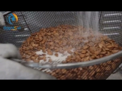 SS316 Multifunctional Almond Roasting Machine 450kg/h Fully Automatic